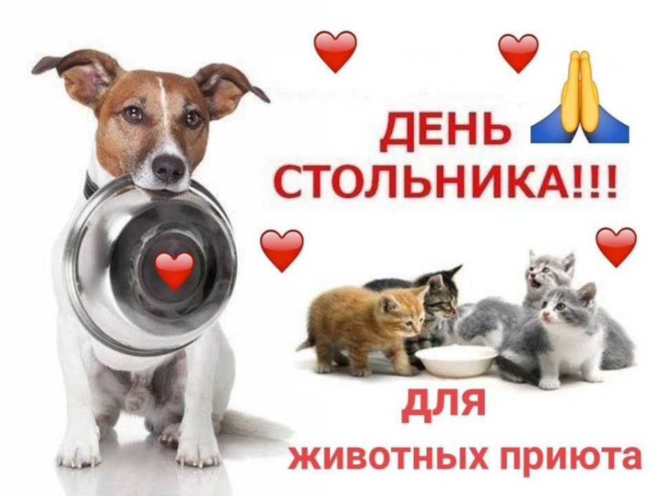 Друзья, наш частный приют "Кошкин дом" г. Луганска, который существует с войны 2014г, где более 200 хвостиков, находясь в зоне проведения СВО и не имея никакой помощи от государства, кричит о помощи любой посильной...