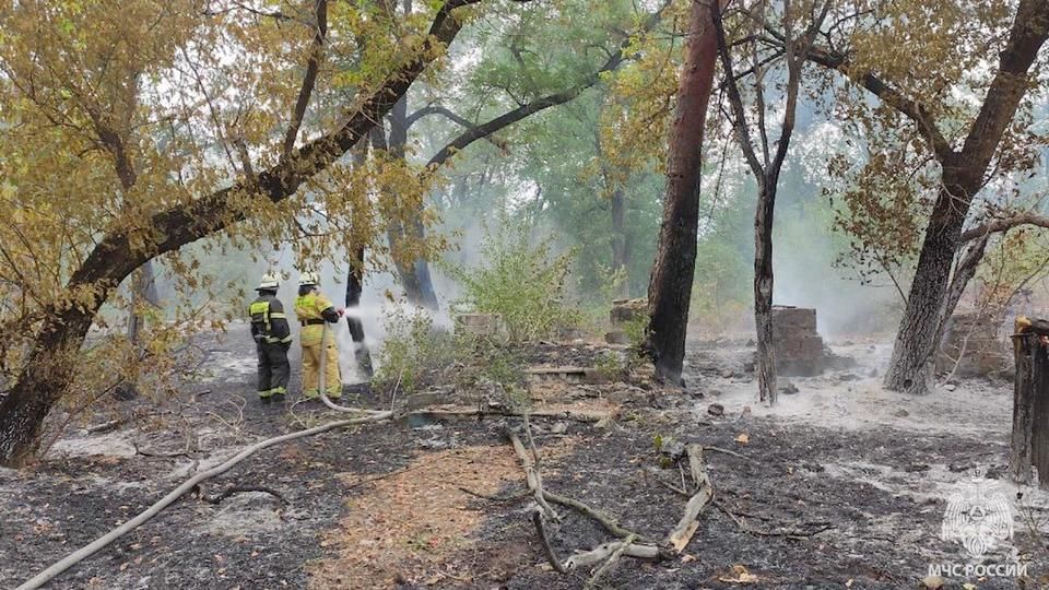 �� �������� � ��� �������� 65 �� ����������