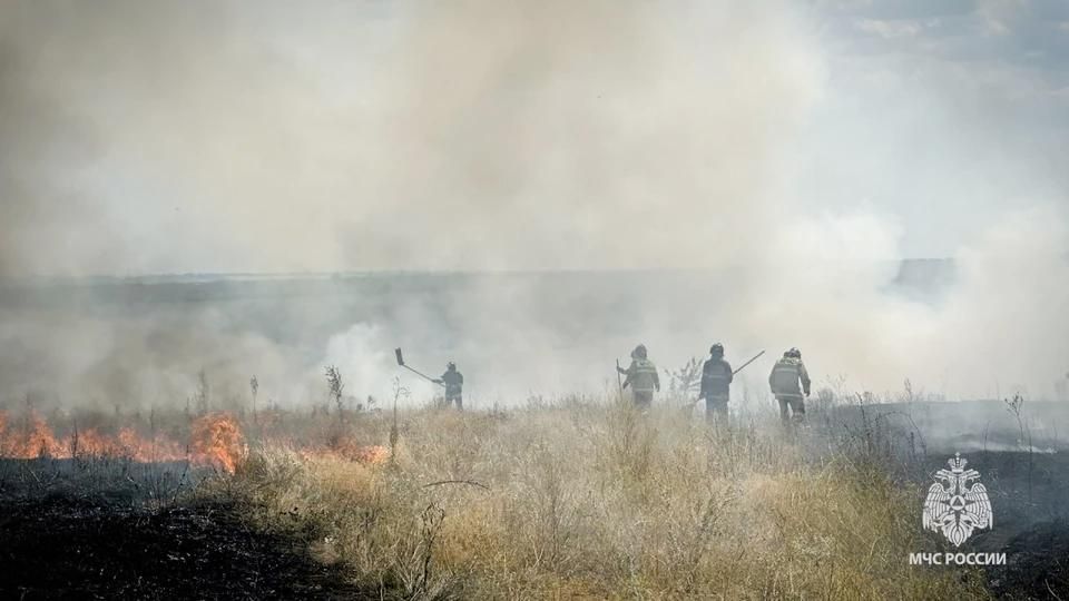 За сутки в ЛНР потушили 35 пожаров