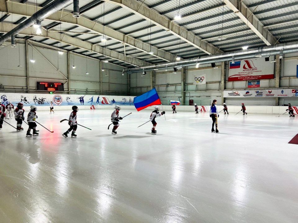 Восстановительные работы проведут в луганском спорткомплексе «Ледовая арена»