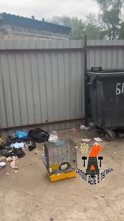 �� � ������ �� ���, ���� ���������