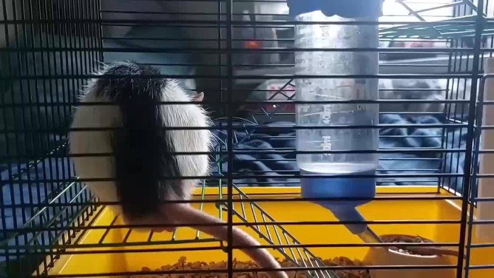 ������ ���� � ��������: ����������� �� ������� � �������� ������������ �������� ����� ����� ���