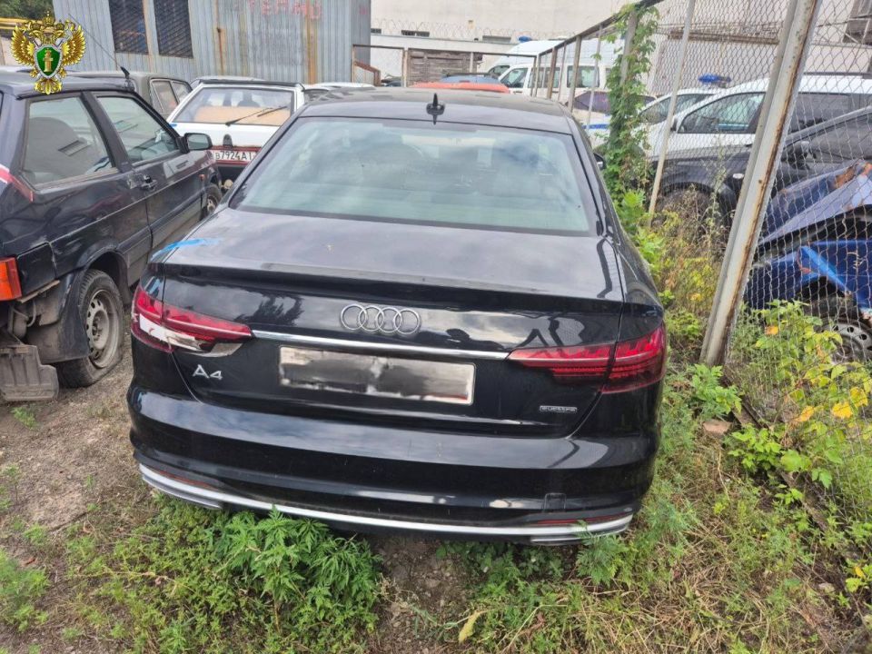 Ауди отправят на СВО за пьяное вождение