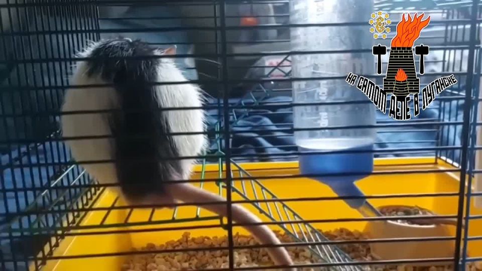 ���� ����� � ���� ����. �������, �������� ��������� �� �������, ����� ����� �����