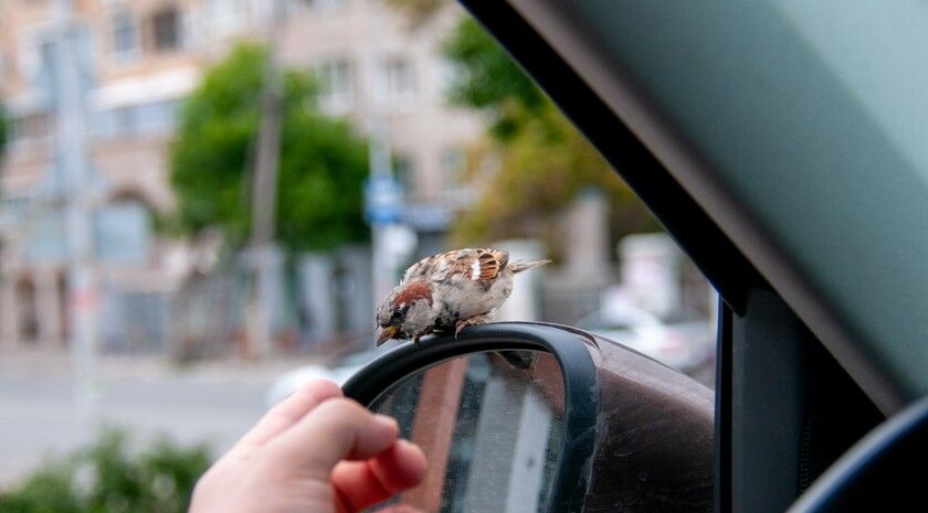 ������ ��� ����� ������� ������� � �������� ��������