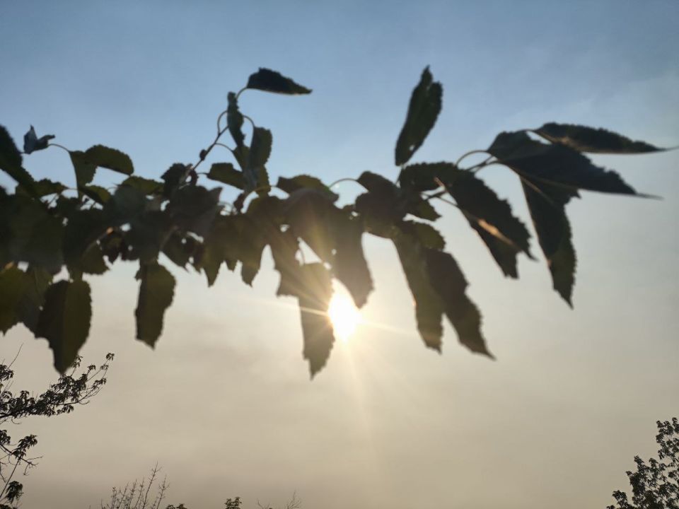 ������ � �������� 13 �������