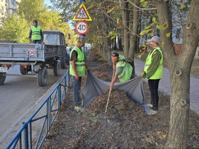 ��������� "����������" ����� ������� � ������� �������� �������