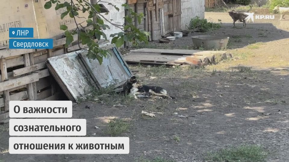 ������ ������� ����� �������: ��������� �������� ����� 350 �� ����� � ����� �������� � �����������