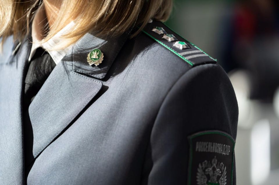 В ЛНР Россельхознадзором проинспектировано более 180 тысяч тонн зерна нового урожая