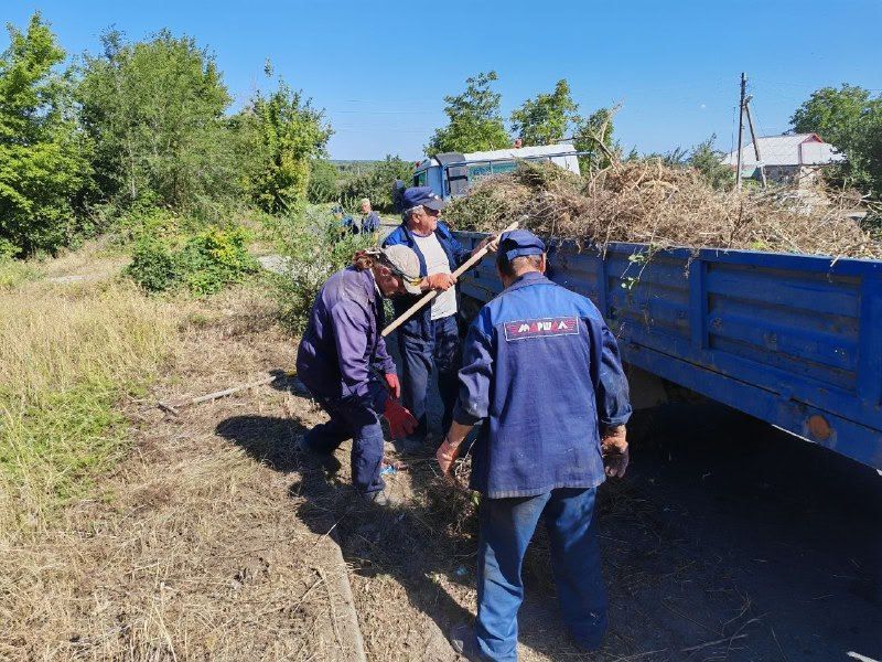 �� ���������� �������� ������������ ������ ����������� �� ���������������