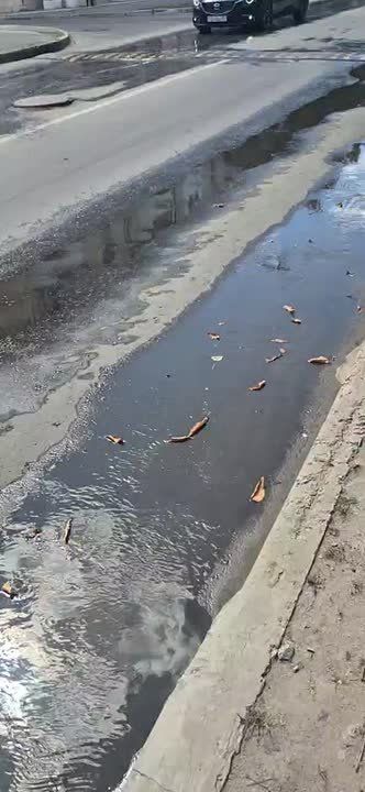 И снова зловонная река, в этот раз — Авиацентр