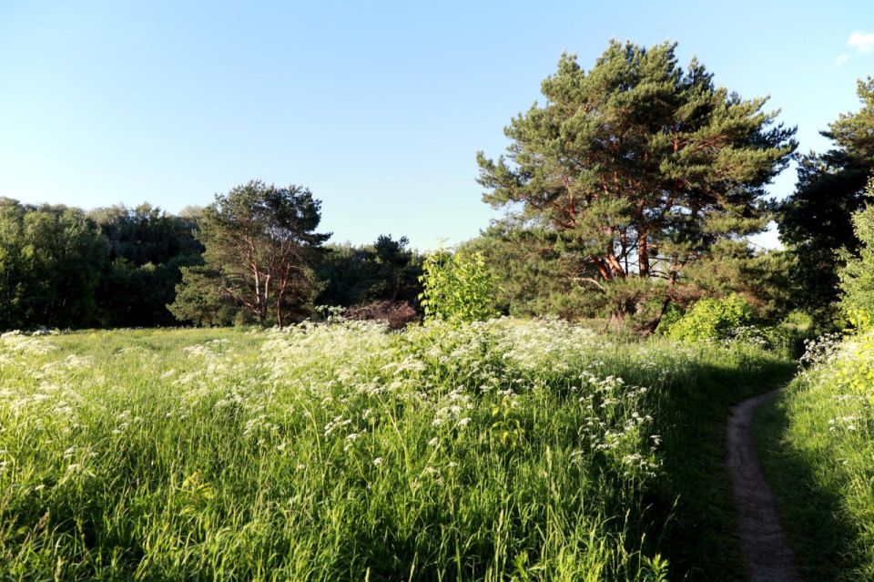 В ЛНР сохраняется чрезвычайная опасность