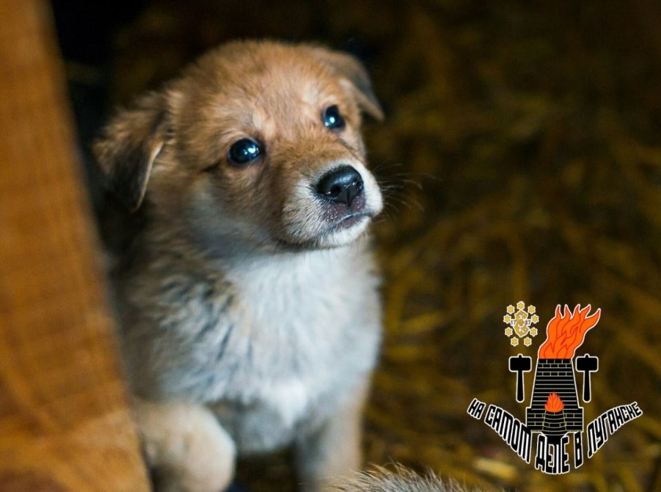 � ������� � ������� ����� �������