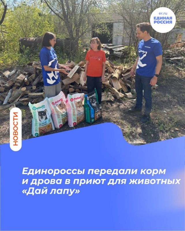 Единороссы передали корм и дрова в приют для животных «Дай лапу»
