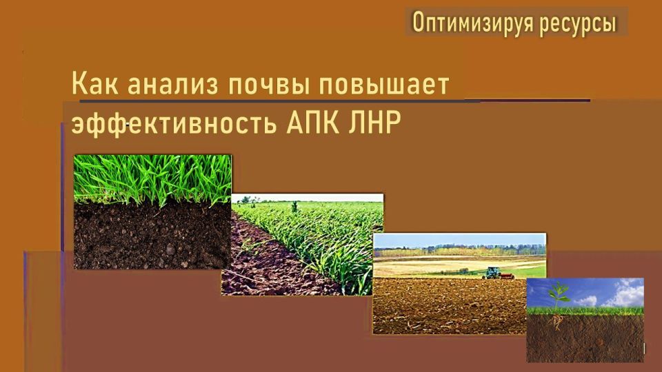 � ��� �������� �������-����������������� ������������ ������ ��������������������� ����������