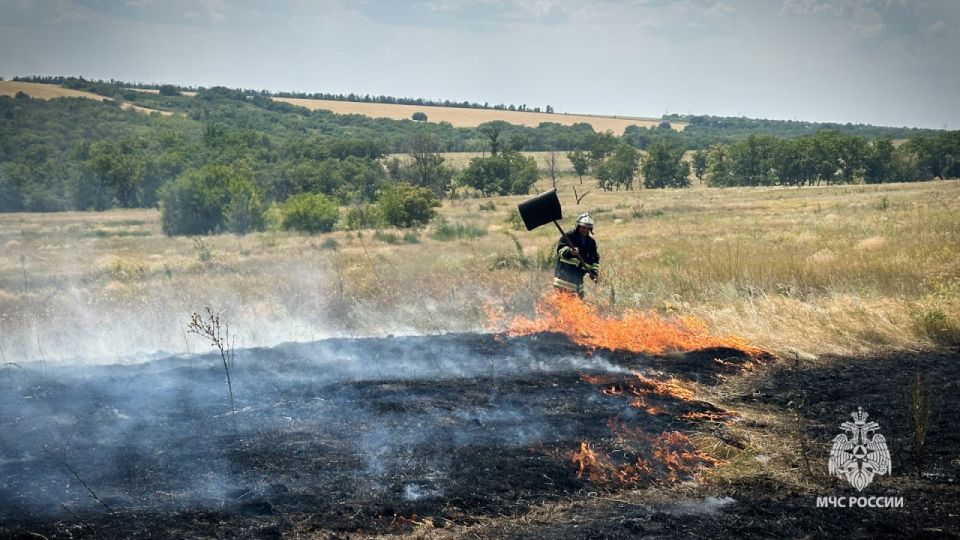 �� ����� � ��� �������� 28 �������