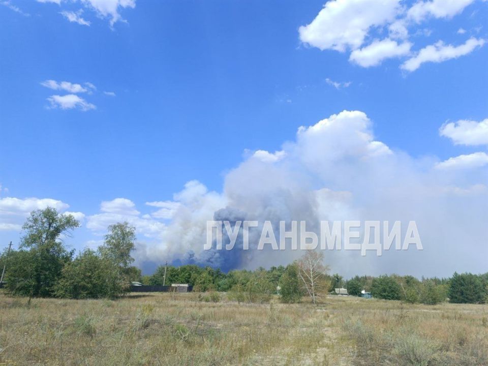 К тушению пожаров в Станично-Луганском округе привлечена техника МЧС, аграриев, местного лесхоза, энергетиков и предприятий города Луганска, сообщил в своем ТГ-канале глава муниципалитета Альберт Зинченко
