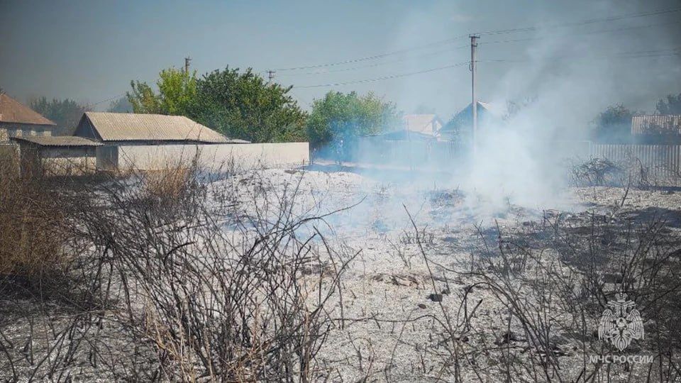 �� �������� � ��� �������� 115 �� ��������