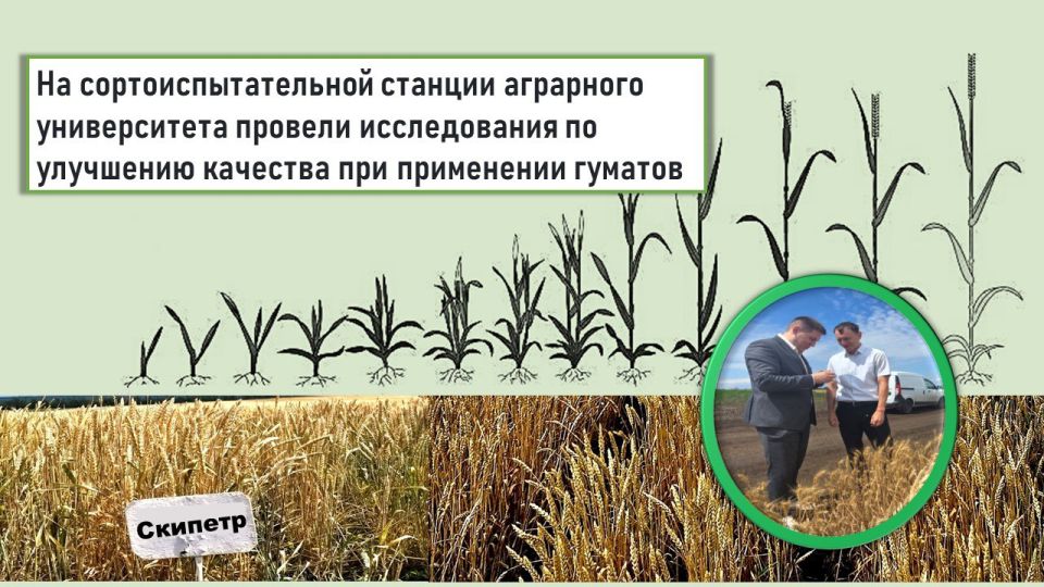 ����������� +5,6 �/��: ����� ���� ������� ������������� �� ������ ������� � ���