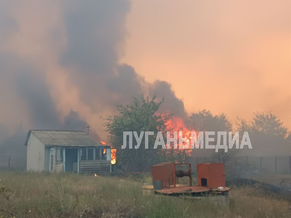 ���� � ����� ������� � ��������-��������� ������ - �������� ������ ������, ����������� ������� ������