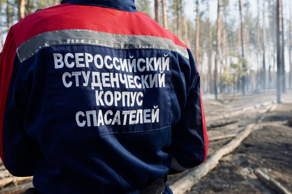 �� ������ �������� � ������� ��������� ����������� ��������