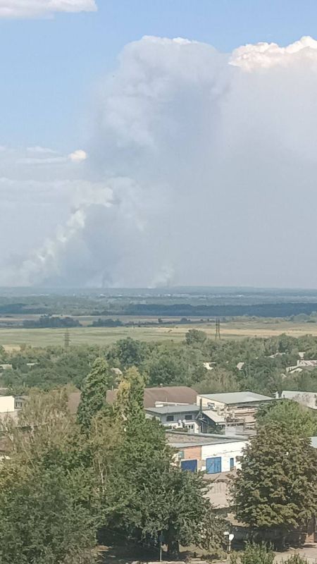 ���-�� ����� � ������ �������-���������