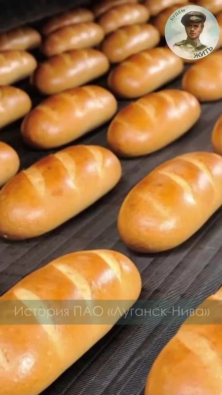 ������� ���������� ��������������