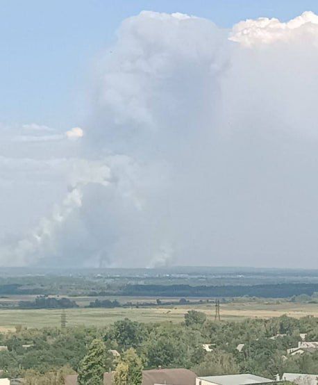В ЛНР продолжаются лесные пожары