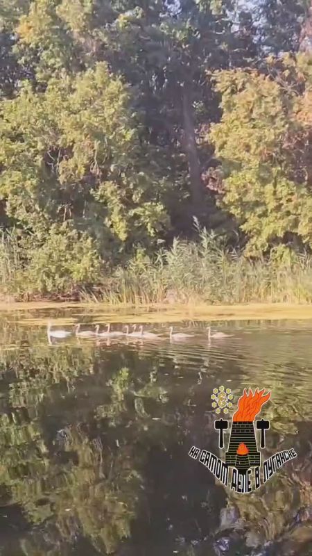 ����������� ����� ������� ������ �� ����� ��������� ����� �� ���������� ���� �����