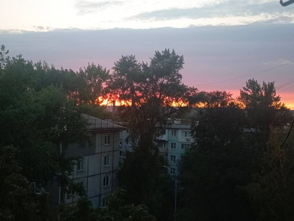 � ��� ���� ��� �������� ������ ��������� ��������� ���������