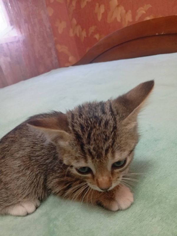 11-������ ����� ������ ����� �� ����� ������ � ������� ��������� � ������ ���� ��� ��� ��������� ������