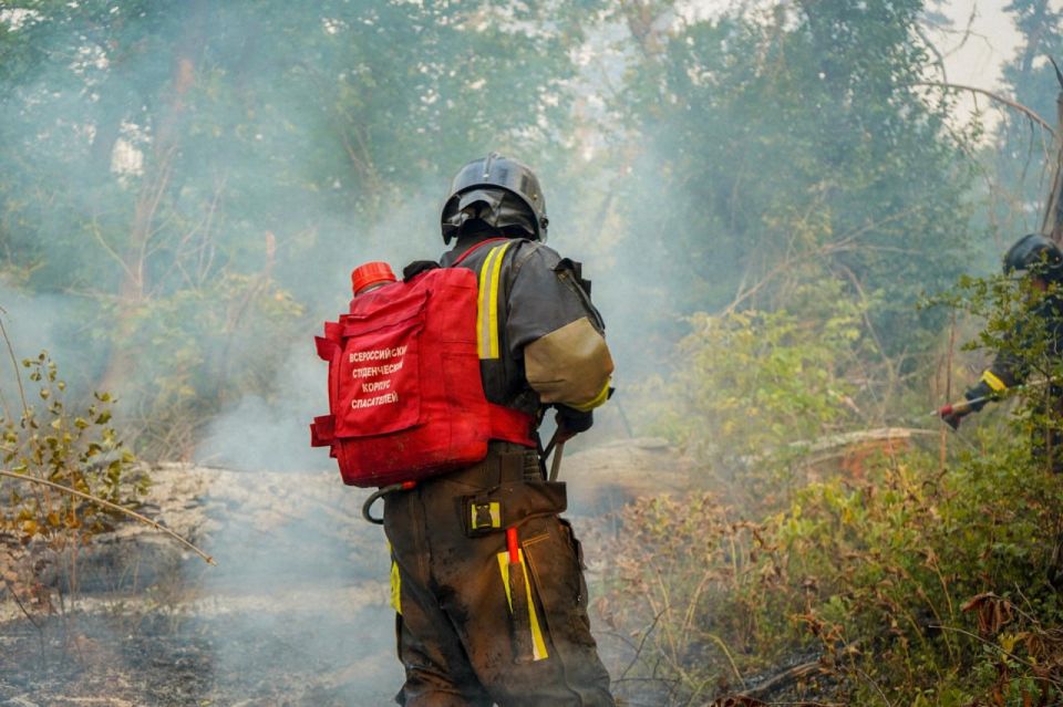 ����������� ���� ��������� � ������� ������ �������