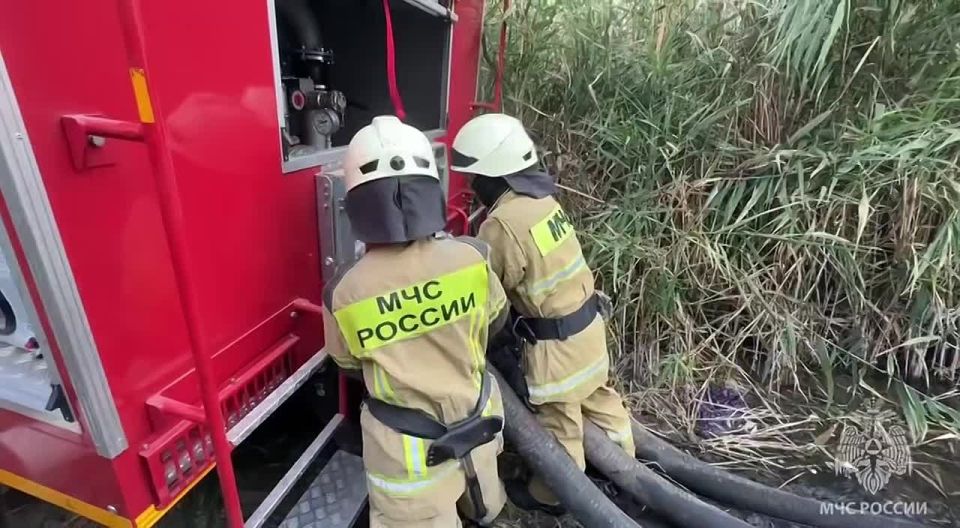 ���������������� �������� ��������-���������� �.�. ������������� ���������, �� ����������� ���������� ���, ��� ���������� ��� ������ ���������� ����� ��������� �����