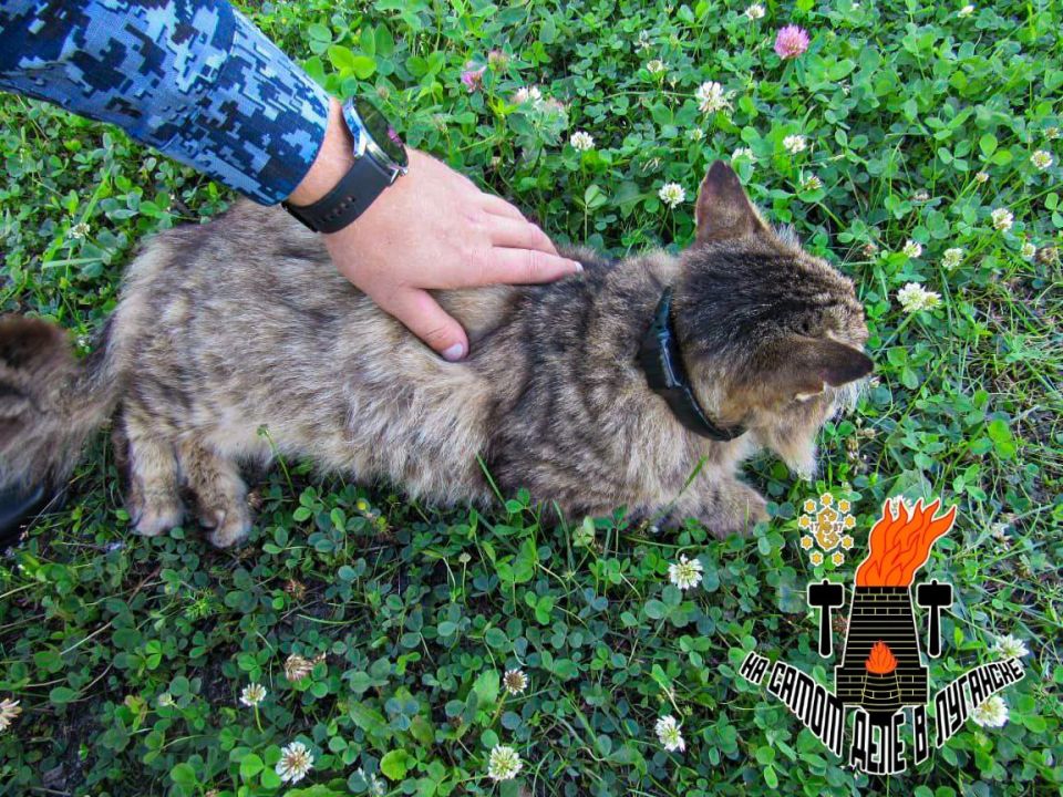 �����-������ � ����. ���-����������� ������� �������� �������� � ������ � ������������� ������� - ��� ������� ���������� ������� � ���������� � ���� ���������