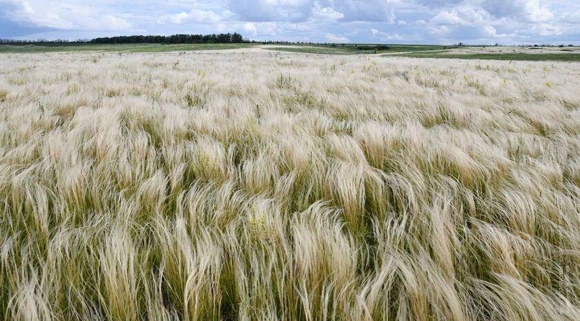 ��������� ���������� � �������� �������� ����� � ������������ �������� ����� ���������� ����������