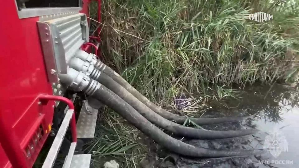 � ��� ���������� ��� ����� ������� ��������� �����