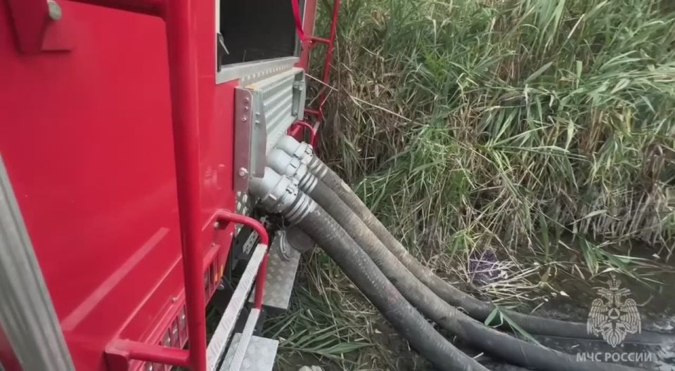 ������� ����������� ���������� ������ ������������