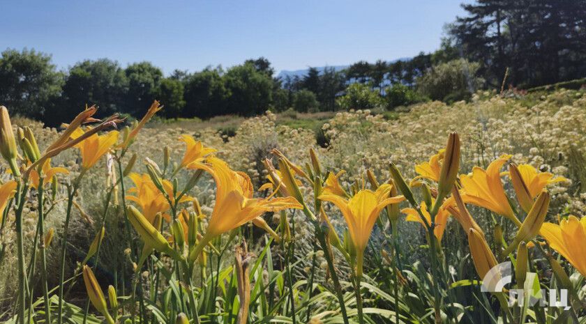 ����� �������: ��� �������� ��� ��� �� 16�18 �������