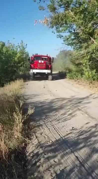 � ��������-��������� ����� �� ������ ������� ����������� �� ������������� �������