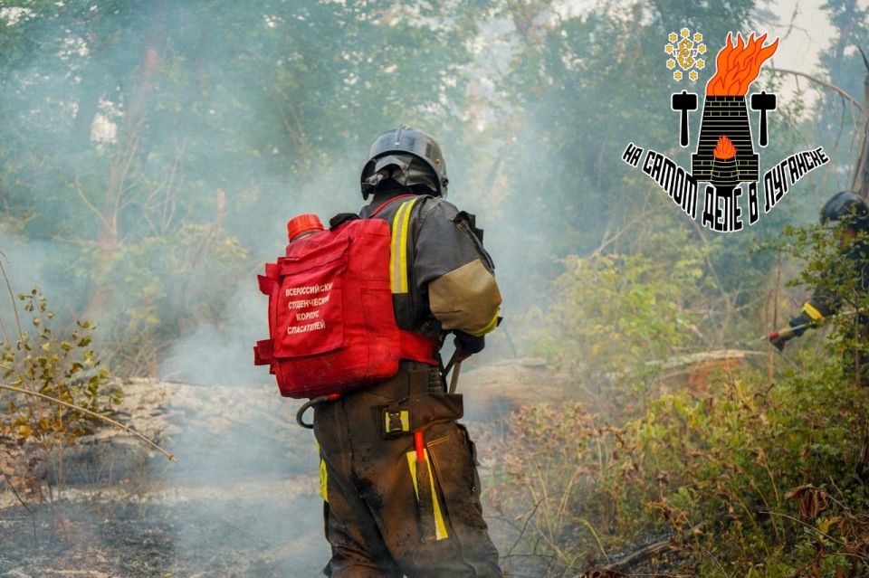 ���������������� ������� �������� - ���������� ������ ��������� �������������