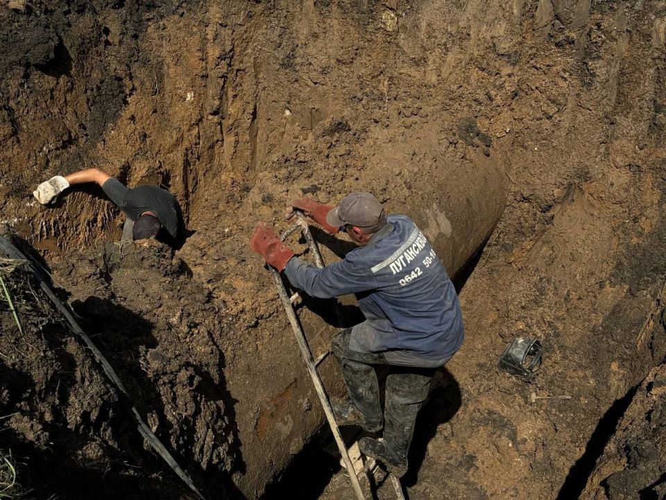 "�����������" ����������� ������������� �������, ������� �������� ����� ����� 110 ���