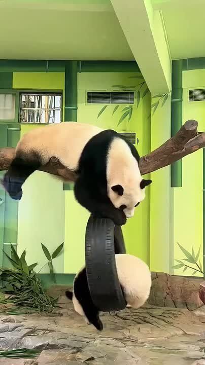 ������������ � ��� ���������������� ������: �� ��� ������ ����, �� ����� �� ��� �� ������