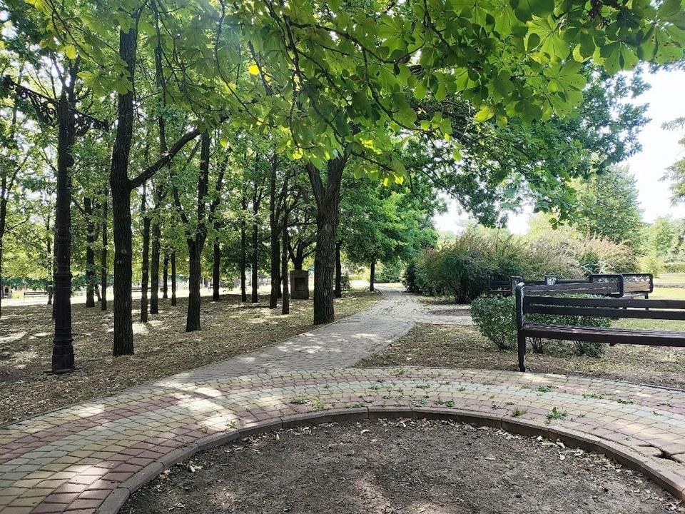 � �������� ��������� �� +31 �������