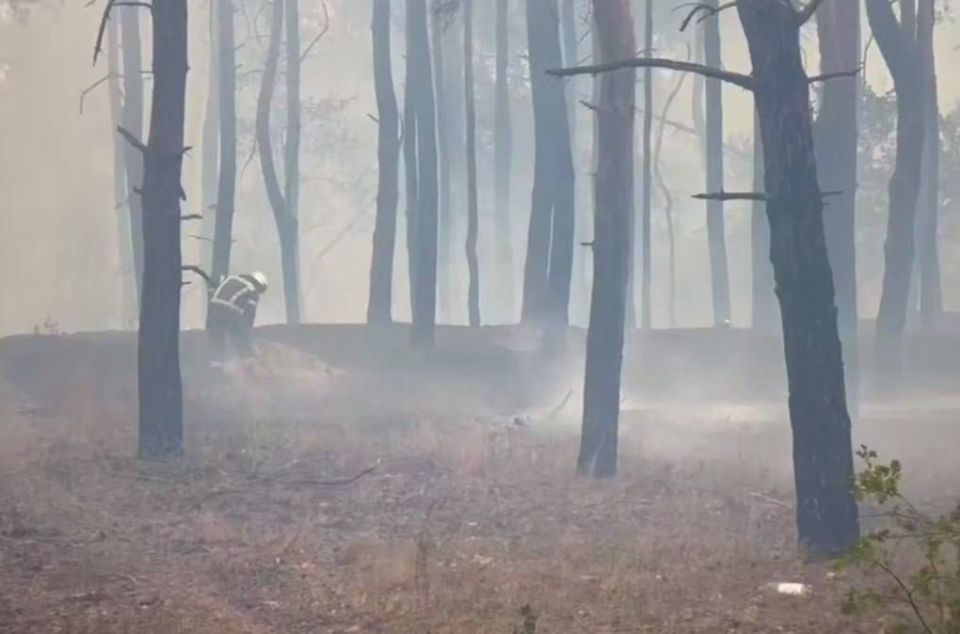 Более трех сотен строений на территории садовых участков в Станице Луганской пострадали в результате пожаров