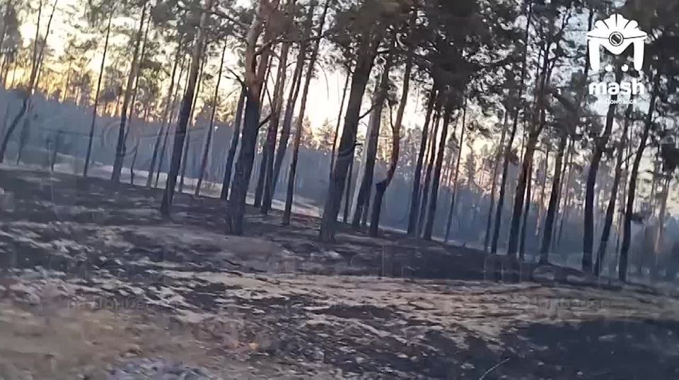 ��� ������ �������� ����������� ������� ���������, ��� ����� ������� �����