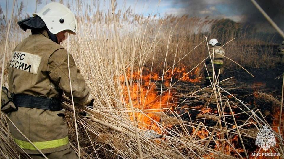 � ��� �� ����� �������� 40 �������