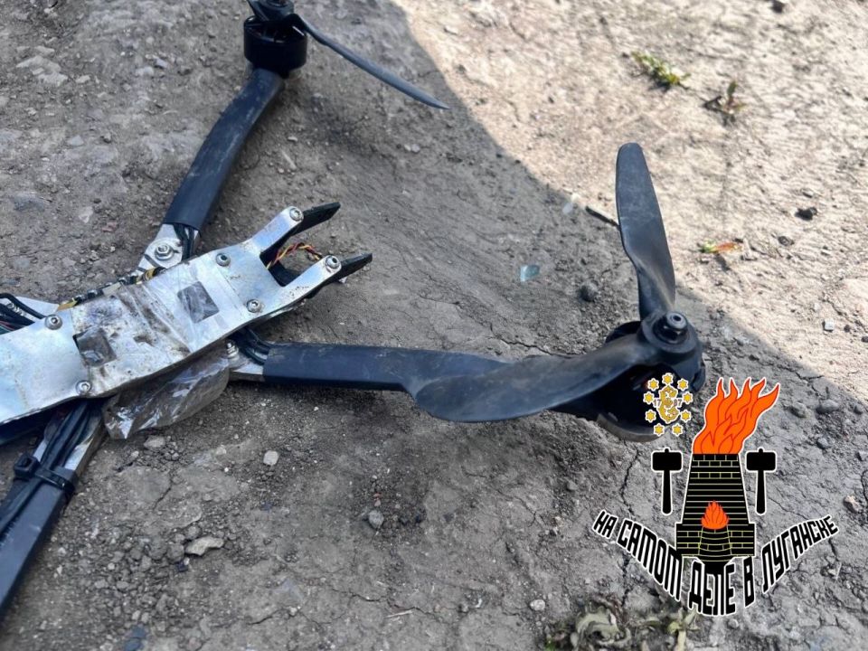 �������� � ���������. 31-������ ������ ����� � ���� ���� �������� �� ����� �������� �����