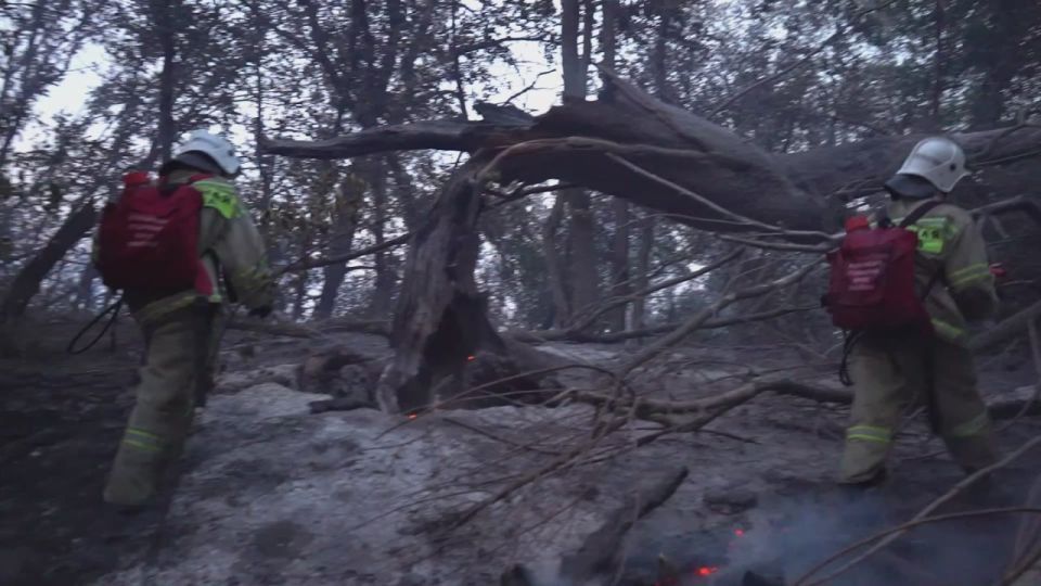 ������ � ����� � ������ � �����