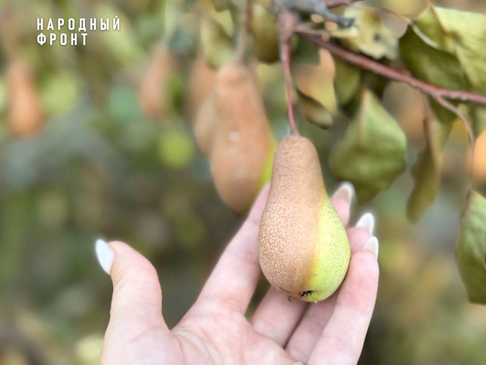 �� �� ����� ��������, ��� ��� ������ ���������� �����? ������