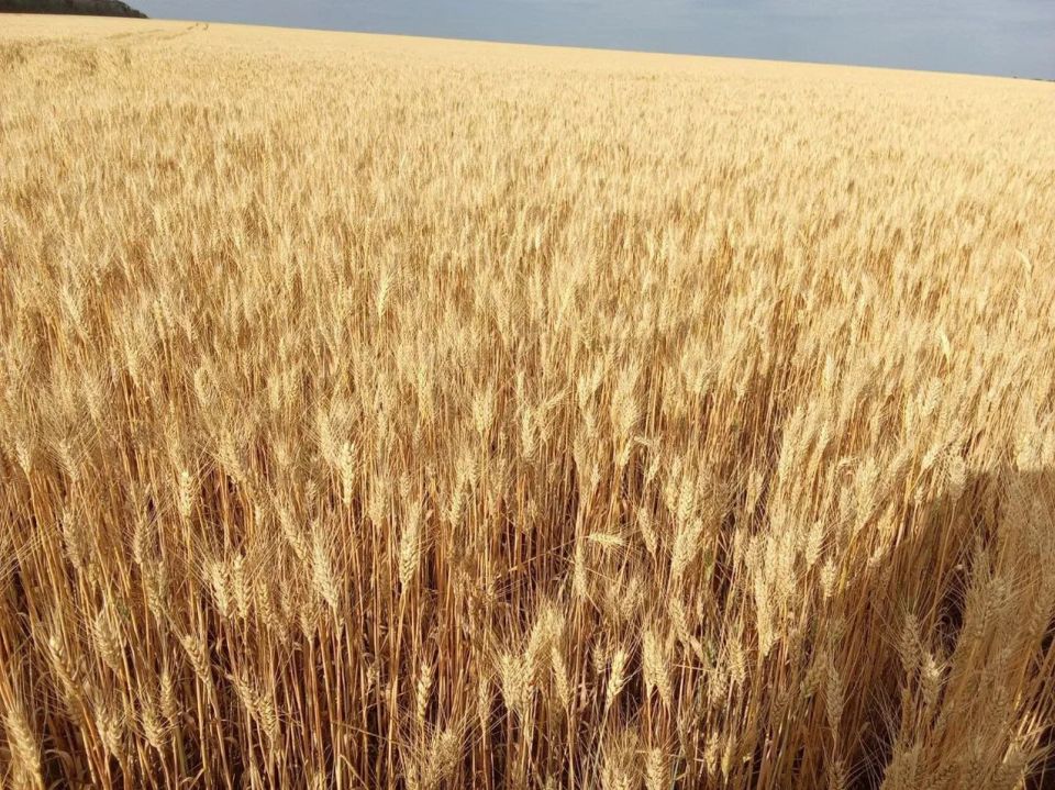 � ��� ��������� ��������� �����